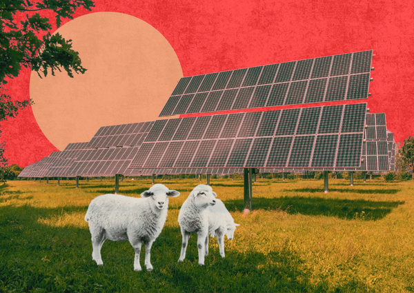 2,700-acre solar project moves forward in eastern Sacramento County.